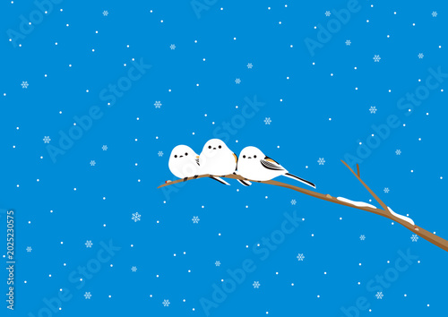 Photos 雪が降る日に木の枝に止まっている3羽のシマエナガのイラスト