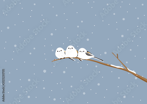 Foto 曇り空の雪が降る日に木の枝に止まっている3羽のシマエナガのイラスト