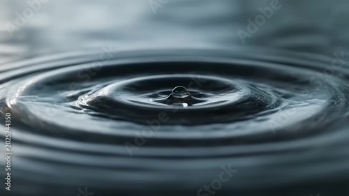 Water Droplet Creating Ripples on Still Surface