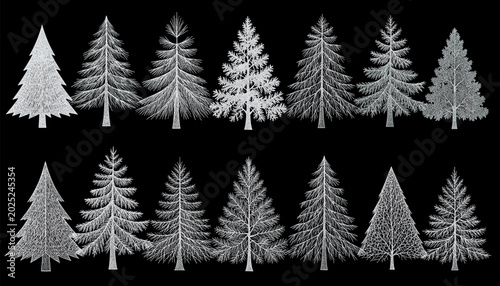 Variety of Wintery Fir Tree Silhouettes in Stark Black and White Design
