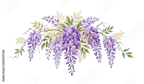 Photos Watercolor wisteria floral bouquet botanical clipart vector isolated on white ba