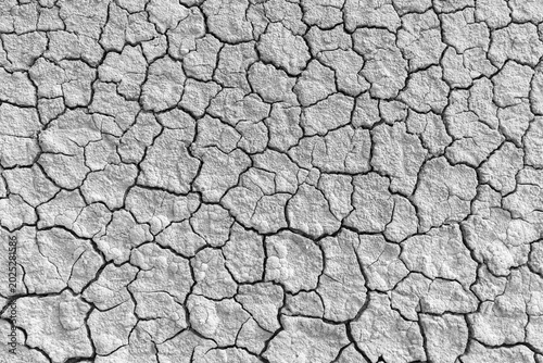 Dry and cracked soil ground texture background in black and white,High-angle view of deeply cracked and parched earth surface texture in black and white, symbolizing drought, climate change, 