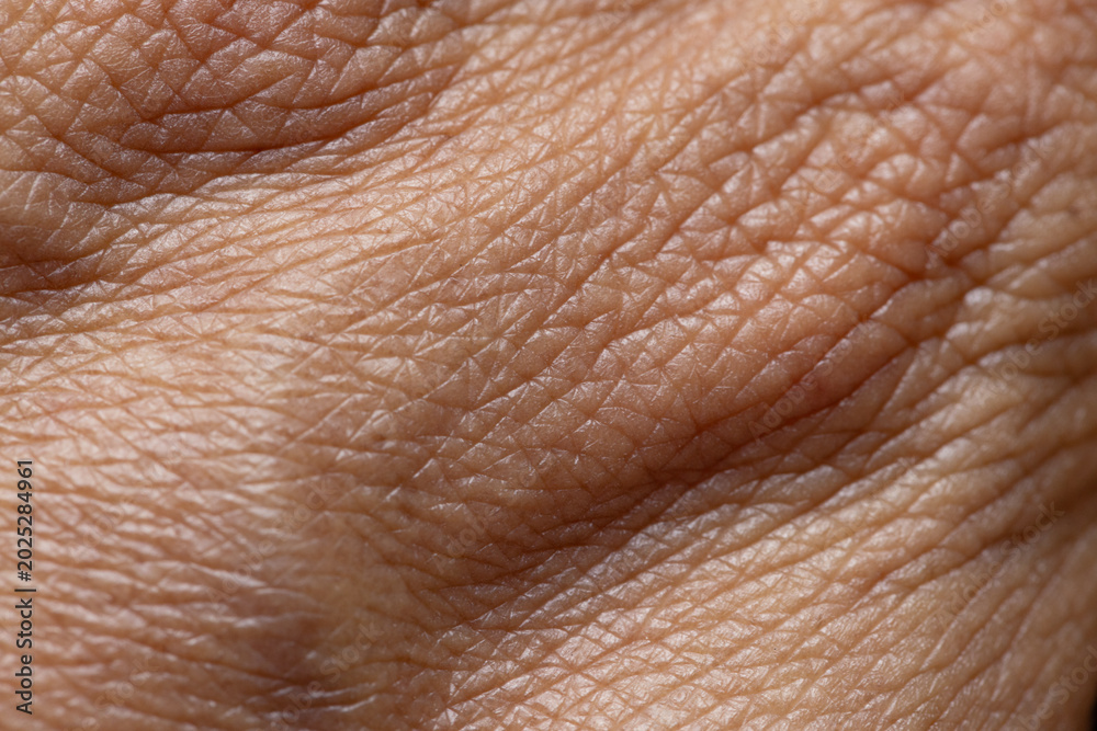 Fototapeta premium Macro Texture of Human Skin with Wrinkles and Creases,An extreme close-up macro shot revealing the detailed texture, lines, wrinkles, and natural patterns of mature human skin.