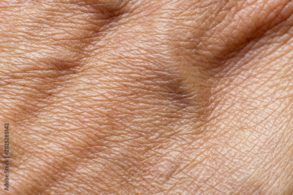 Fototapeta premium Macro Texture of Human Skin with Wrinkles and Creases,An extreme close-up macro shot revealing the detailed texture, lines, wrinkles, and natural patterns of mature human skin.