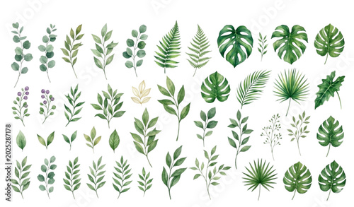 Bild auf Leinwand Hand painted watercolor botanical leaves clipart vector isolated on white backgr