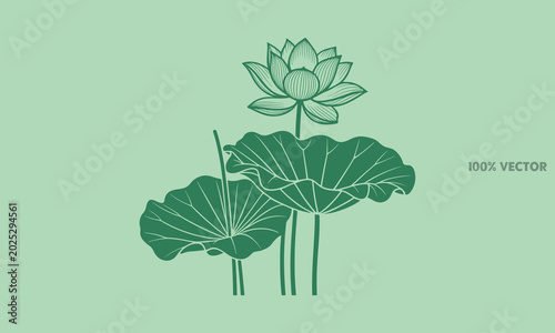 Detailed green lotus flower and large leaves silhouette