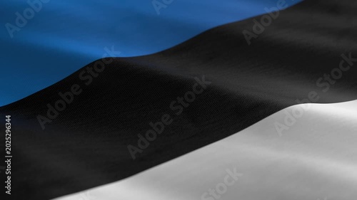 Estonia - waving flag loop