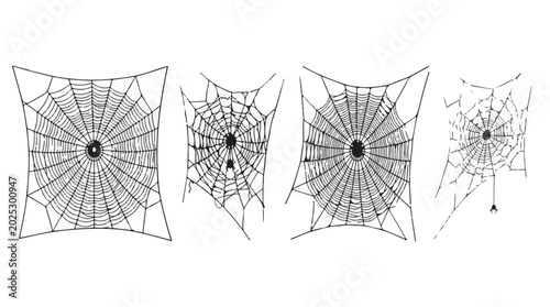 Schilderij op canvas Four different spider webs on a for halloween