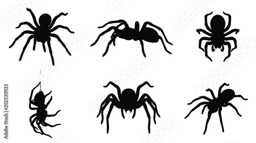 Foto Collection of spider silhouettes