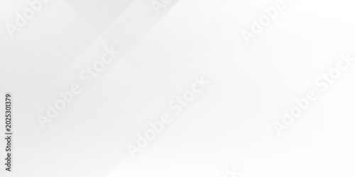 Fotografija Gray and white diagonal line architecture geometry tech abstract subtle background vector illustration