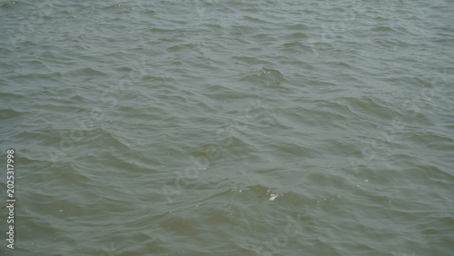 Cuadro en lienzo Muddy Green Water Waves Background with Copy Space