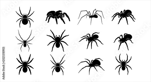Foto Diverse Set of Black Spider Vector Silhouettes for Halloween and Design