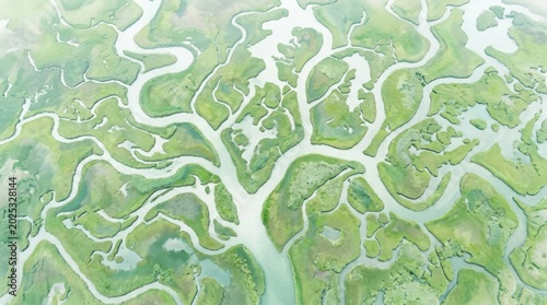 Aerial view of winding waterways and green islands in a coastal salt marsh wetland landscape