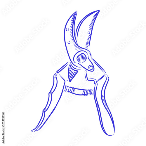 Hand drawn vector sketch of pruning shears, blue line art on white background