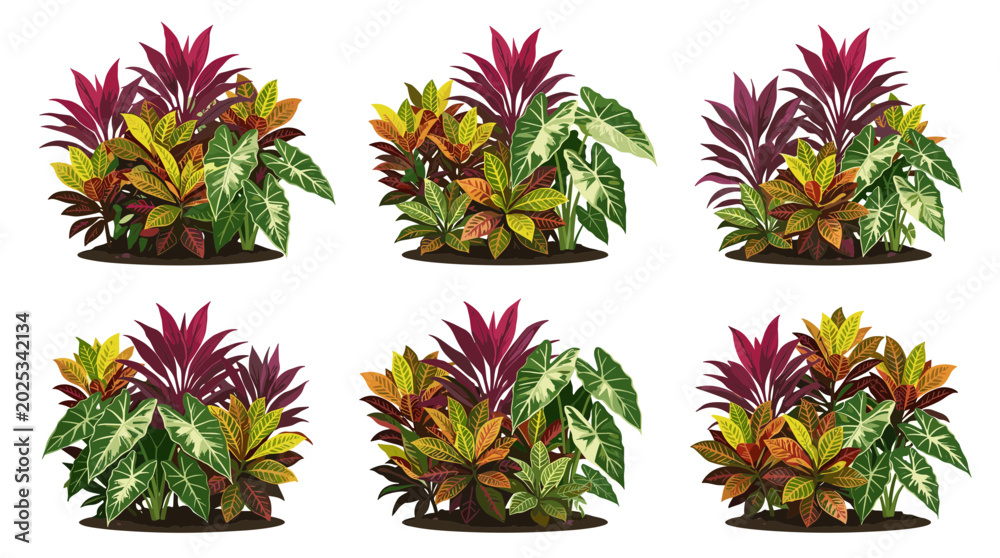 Fototapeta premium Vibrant Tropical Plants Grouped in Six Distinct Arrangements Ideal for Landscaping and Garden Design
