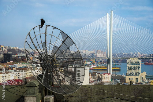 Bild auf Leinwand Rooftop antenna with crow overlooking Golden Horn Bay and Zolotoy Bridge in Vladivostok, Russia, with port cranes and dense urban waterfront