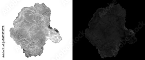 Canvas-taulu Atmospheric smoke explosion and alpha channel map, billowy white cloud on white