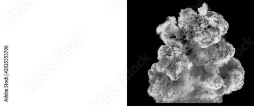 Bild auf Leinwand Dramatic white smoke explosion on black background, thick billowing steam clouds