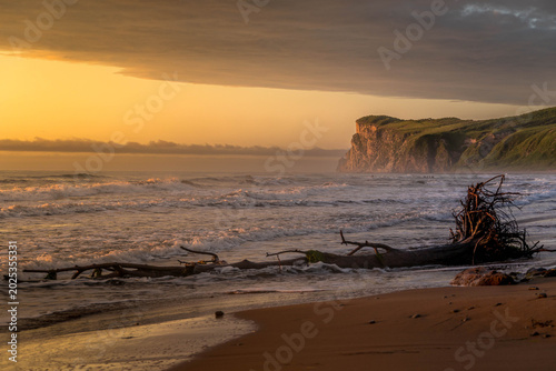 Photography Sandy shore of the Sea of Japan in Primorsky Krai, Russia with waves and coastal cliffs shaping a remote Far Eastern landscape