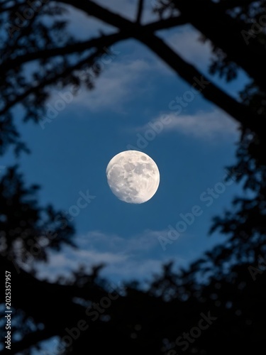 moon over the clouds