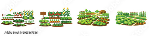 Vector about Plantation. Vector, illustration, minimalist, icon, icon set