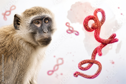 Ebola Virus Reservoir in Monkey With Filovirus Pathogen and Map Concept