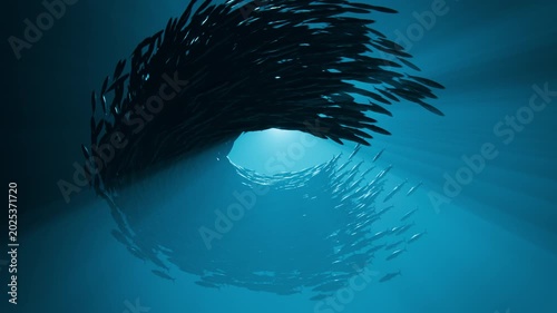 3D Animation of Bait Ball Fish Swarm Sphere Underwater, 3D Ocean Concept