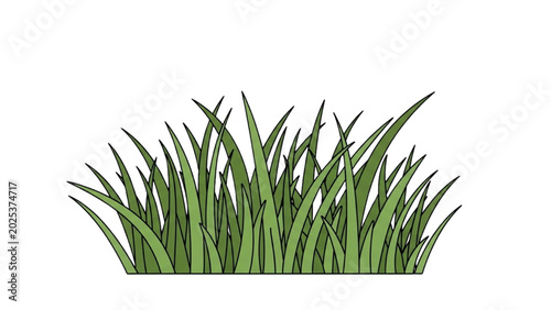 Foto Green grass blades sway gently in the breeze outdoors naturally