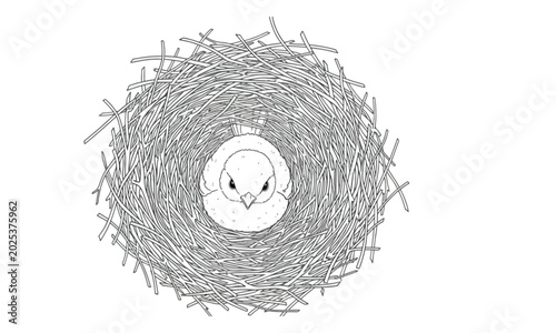 Tableau sur toile Bird Sitting in Twig Nest Line Art Coloring Page
