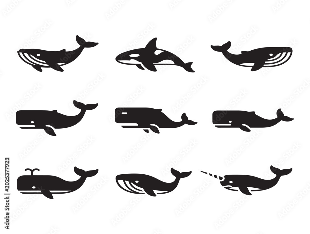 Obraz premium Whale vector illustrations swimming underwater line art collection