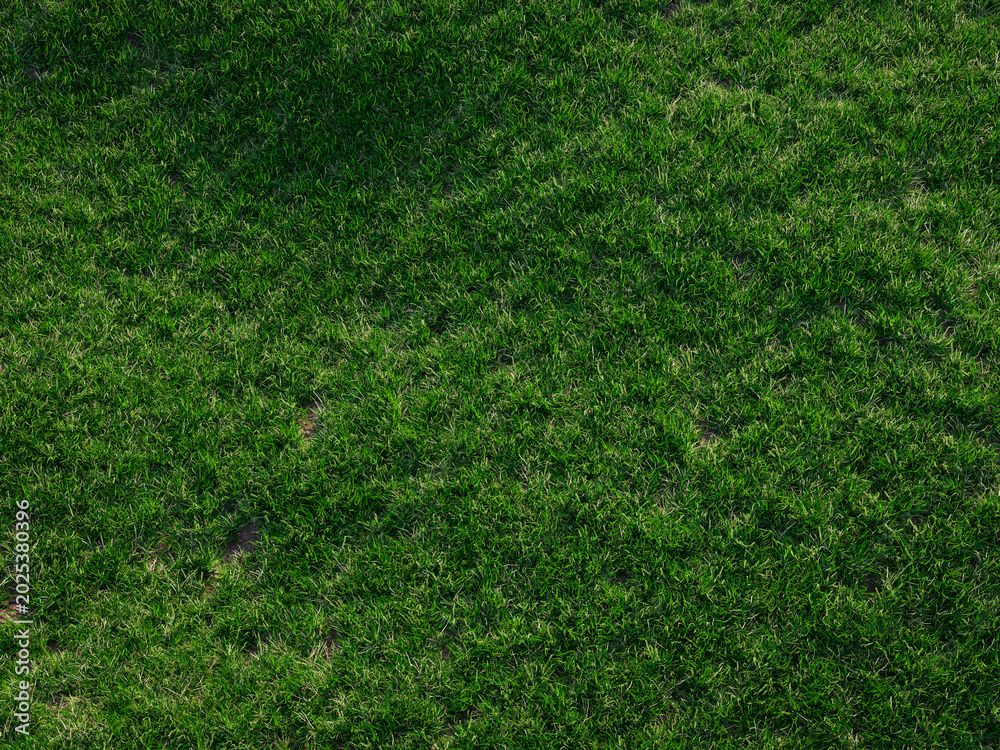 Fototapeta premium Rolling green grass hills with wildflowers under vast blue sky with fluffy clouds.