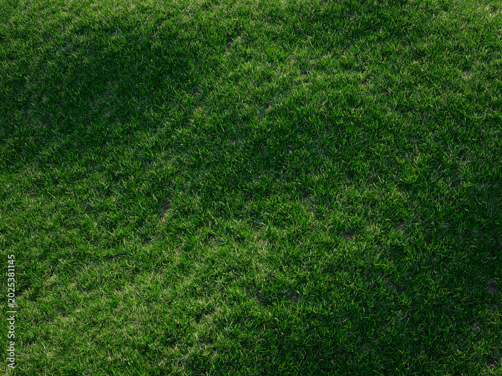 Fototapeta premium Low angle view of tall green grass swaying with blurred natural countryside backdrop.