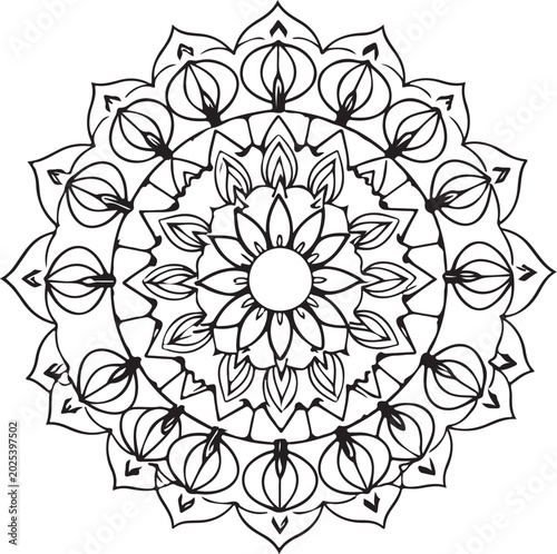 Set of mandala shape on white background, vector illustration