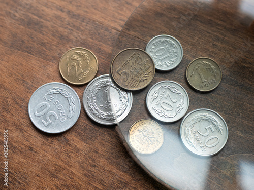 Polish coins on a wooden table. Close-up of old currency and numismatic collection
