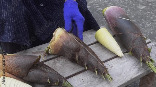タケノコの皮を剥く｜たけのこ下処理