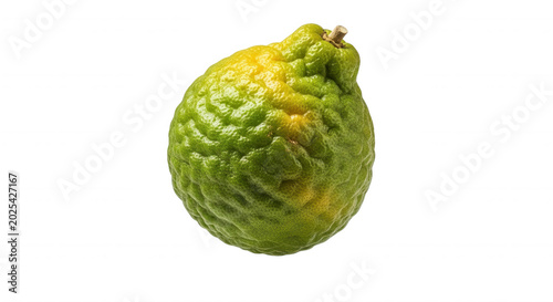 A single, bumpy, green and yellow bergamot citrus fruit isolated against a solid black background, showing textured skin and a small stem
