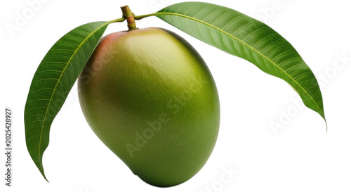 A single, fresh, green and yellow mango fruit with two long, pointed green leaves attached to the stem, isolated on a black background