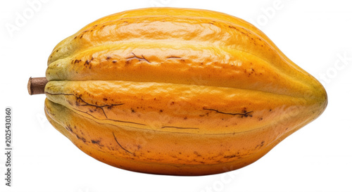A single, ripe yellow cacao pod with textured skin and brown spots, isolated horizontally against a solid black background
