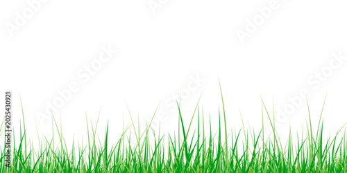Canvas Print Grass, Lawn, Nature, Field, Summer Seamless Vector Illustration with Fresh Green
