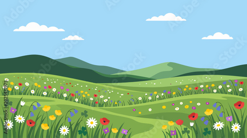 Wildflower Meadow Nature Background