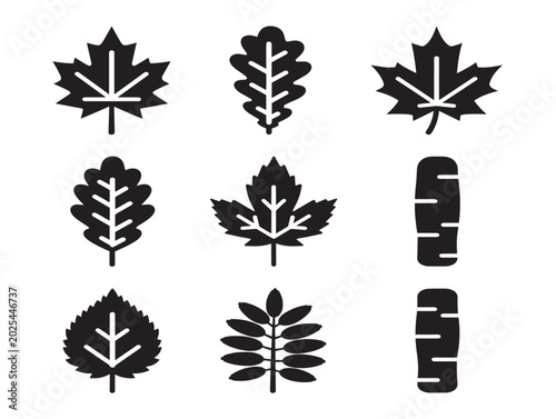 Vector illustration of various leaf silhouettes in black flat style