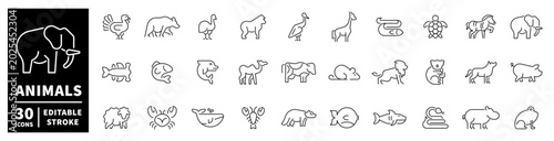 Photography Collection of diverse animal icons in a clean, editable line art style