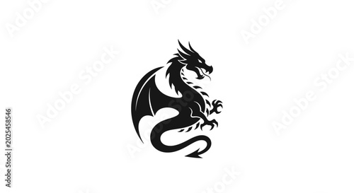 Fotografie Black silhouette of a mythical dragon isolated on a white background
