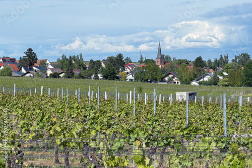 Heuchelheim
