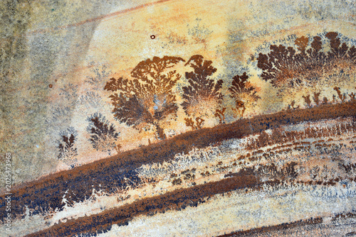Various forms of dendrites in sandstone