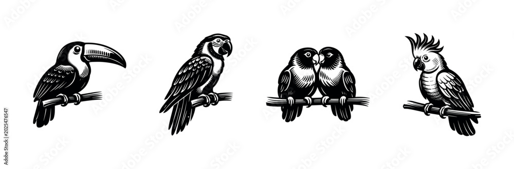 Fototapeta premium Collection of four distinct bird illustrations perched on branches in a graphic style