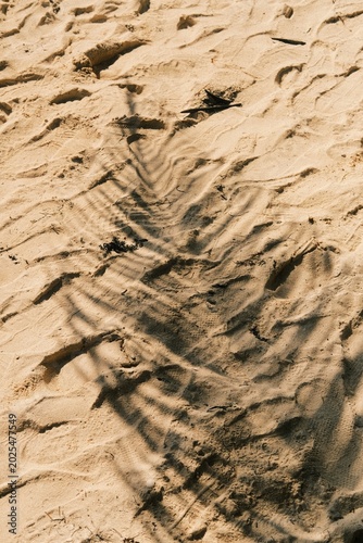 texture of sand
