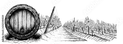 Vintage wooden wine barrel deside vineyard landscape with rows of grapevines on wooden supports. Vector illustration on white. Suitable for wine labels, winery branding, distillery, cellar, refinery.