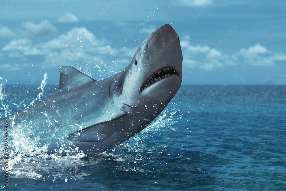 Fototapeta premium Great white shark jumping out in water splash