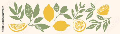 Lemon citrus vector illustration set with leaves, branches and blossom in linocut mediterranean style — minimal silhouette botanical design for print and packaging